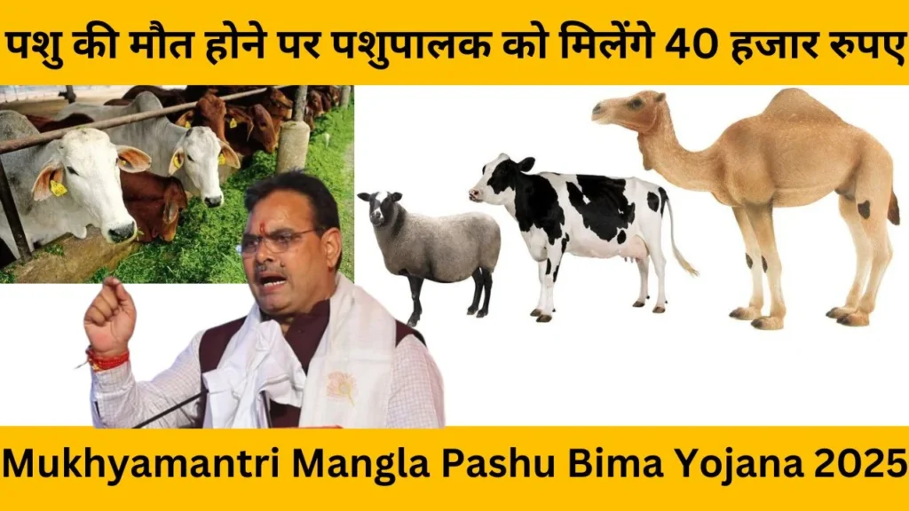 Mukhyamantri Mangla Pashu Bima Yojana 2025